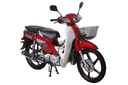RMG R100